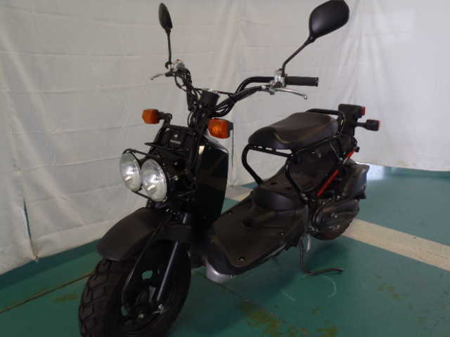 Honda NPS50 (Ruckus)