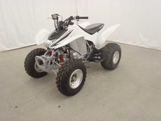 Honda TRX250