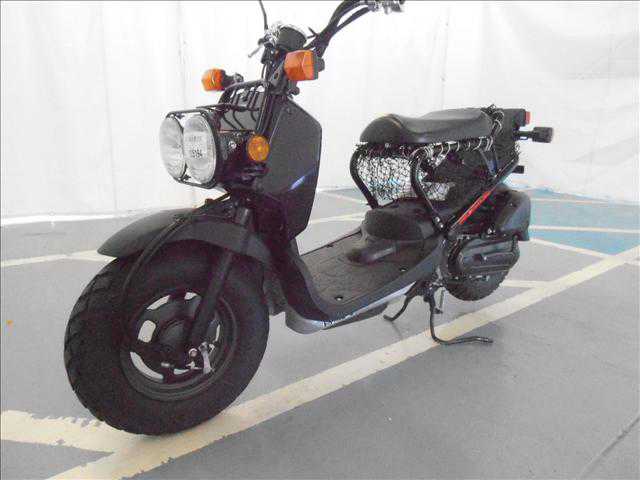 Honda NPS50 (Ruckus)