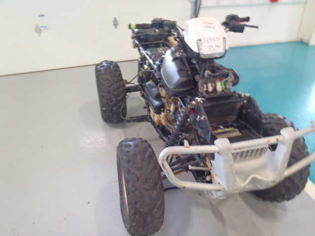Honda TRX500