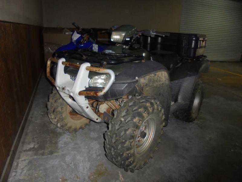 Honda TRX500