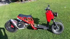 Honda NPS50 (Ruckus)