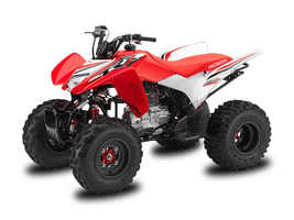 Honda TRX250X