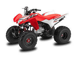 Honda TRX250X