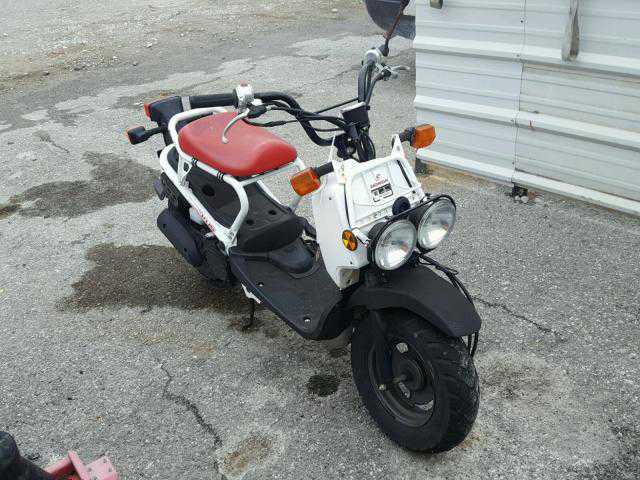 Honda NPS50 (Ruckus)