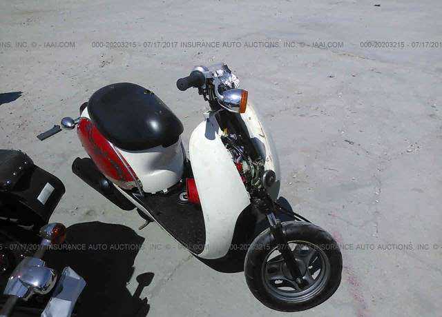 Honda CHF50 (Metropolitan)