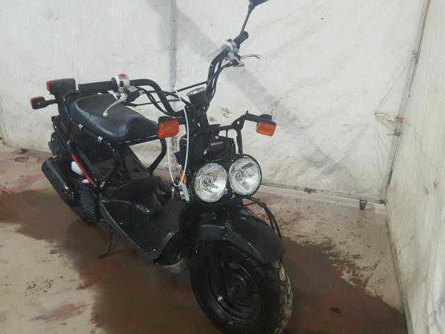 Honda NPS50 (Ruckus)