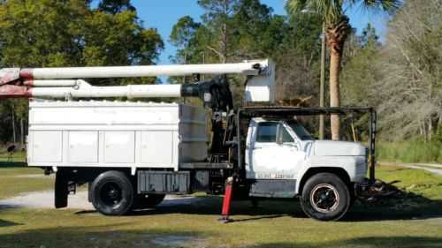 Ford F-800