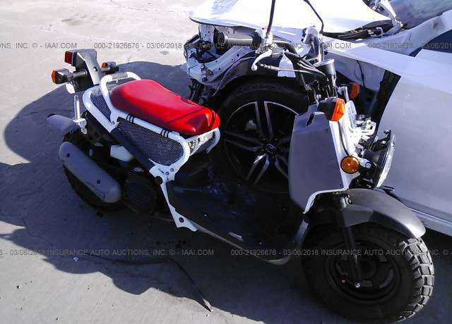 Honda NPS50 (Ruckus)