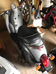 Honda CHF50 (Jazz)