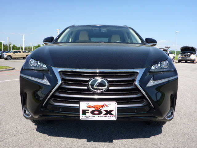 2015 Lexus NX