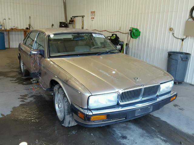 JAGUAR