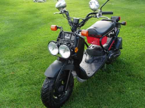Honda NPS50 (Ruckus)