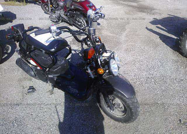 Honda NPS50 (Ruckus)