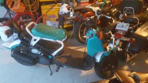 Honda NPS50 (Ruckus)