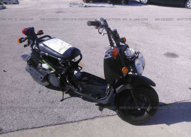 Honda NPS50 (Ruckus)