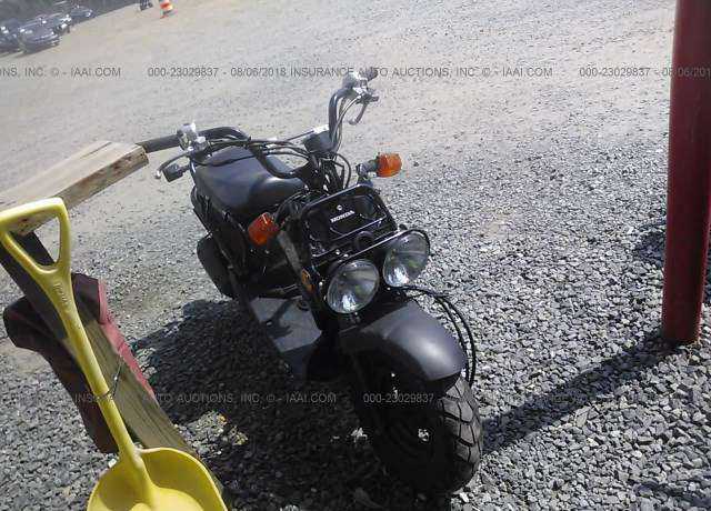 Honda NPS50 (Ruckus)