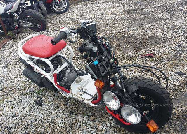 Honda NPS50 (Ruckus)