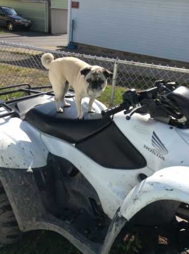 Honda TRX420 (FourTrax Rancher)