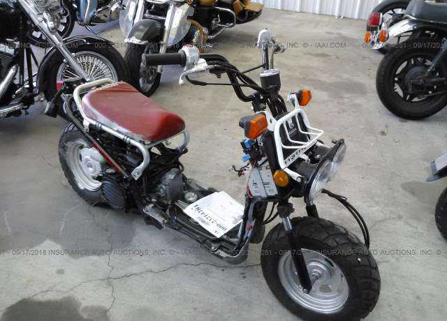 Honda NPS50 (Ruckus)