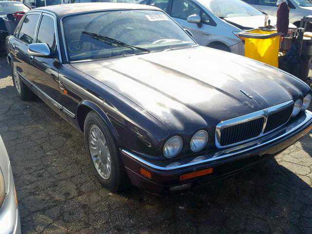 Jaguar XJ12