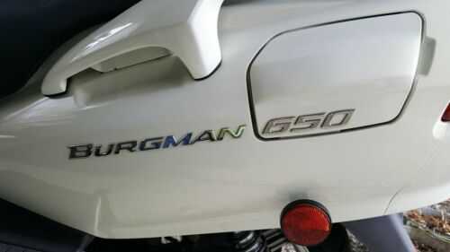 Suzuki AN650