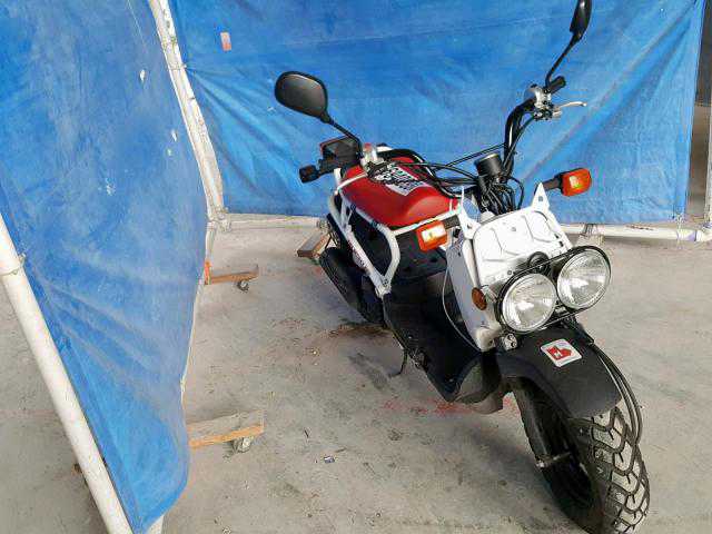 Honda NPS50 (Ruckus)