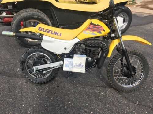 Suzuki DS80