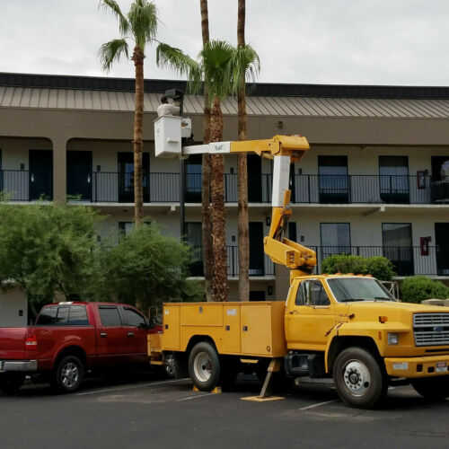 Ford F-600