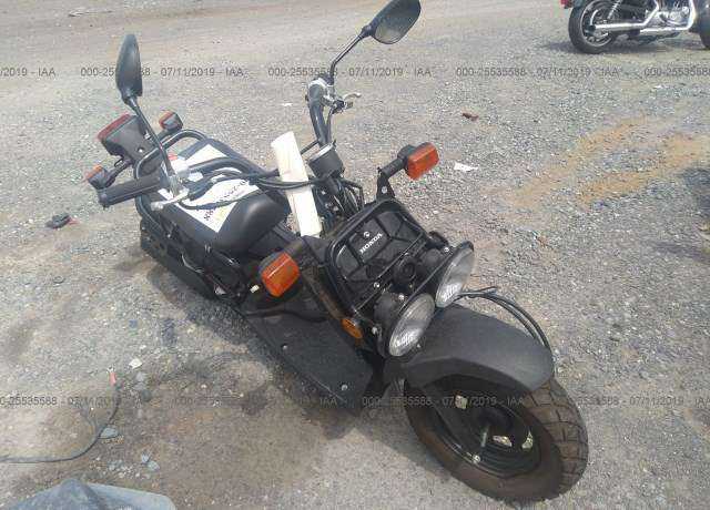 Honda NPS50 (Ruckus)