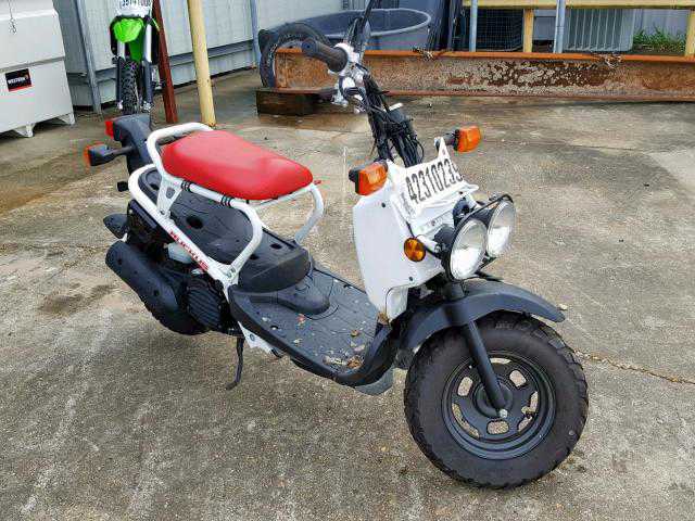 Honda NPS50 (Ruckus)