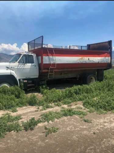 Ford F-800