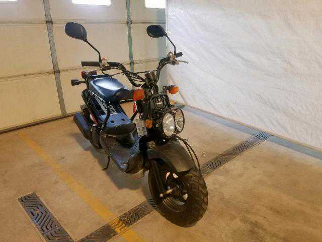 Honda NPS50 (Ruckus)
