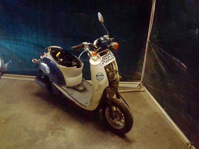 Honda CHF50 (Metropolitan)