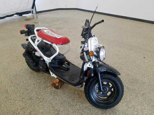 Honda NPS50 (Ruckus)