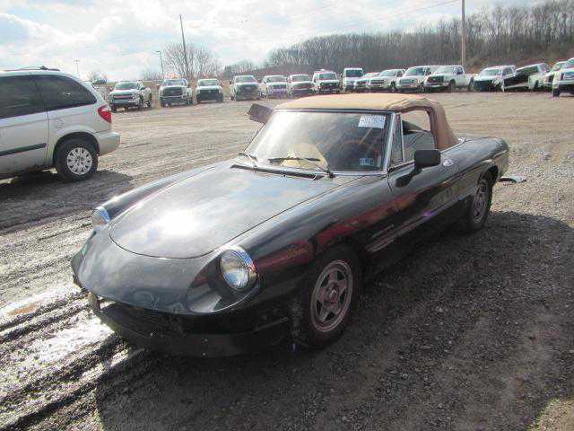 ALFA ROMEO