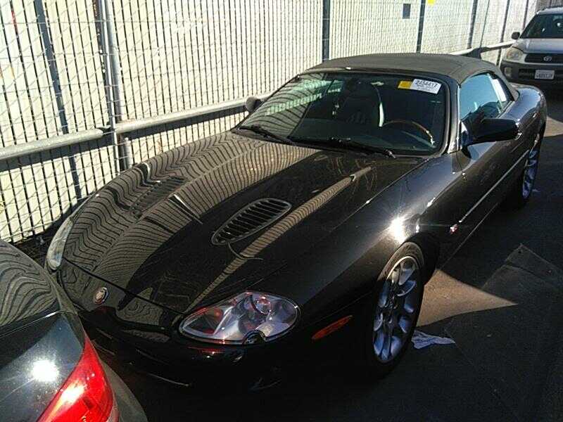 JAGUAR
