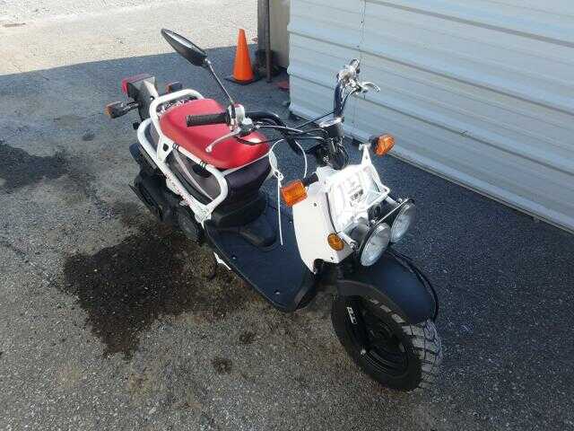 Honda NPS50 (Ruckus)