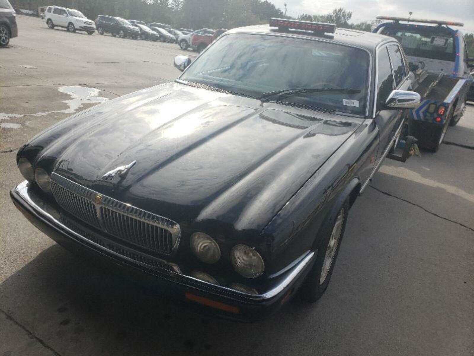 JAGUAR