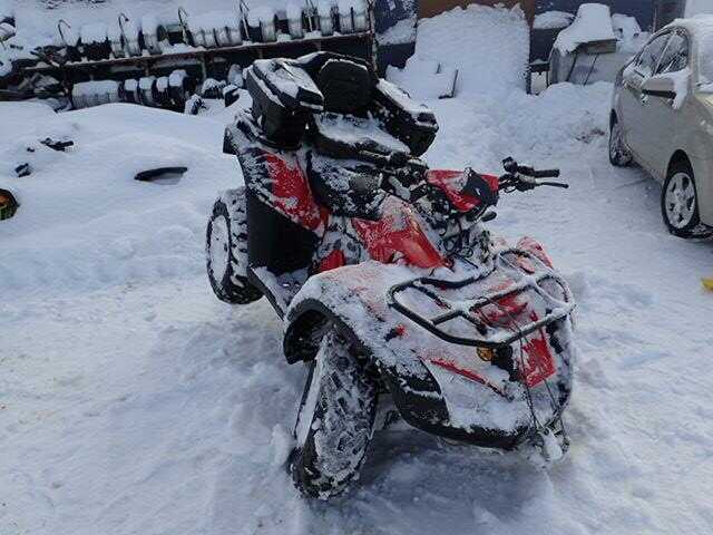 Honda TRX680 (Rincon)