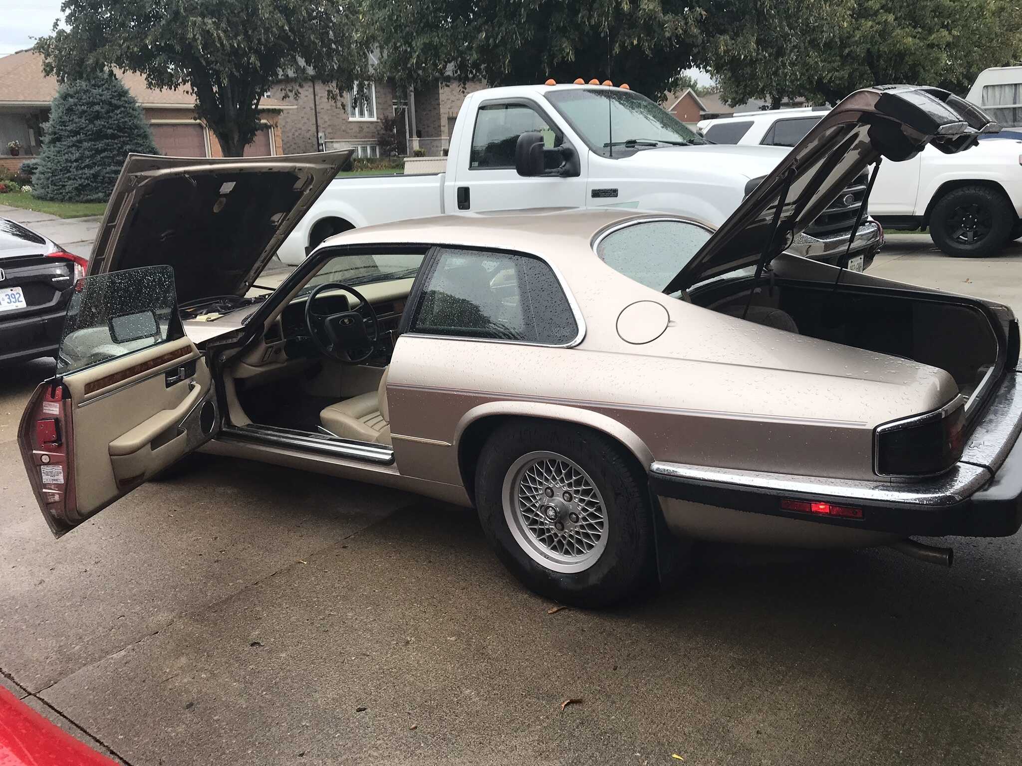 Jaguar XJS