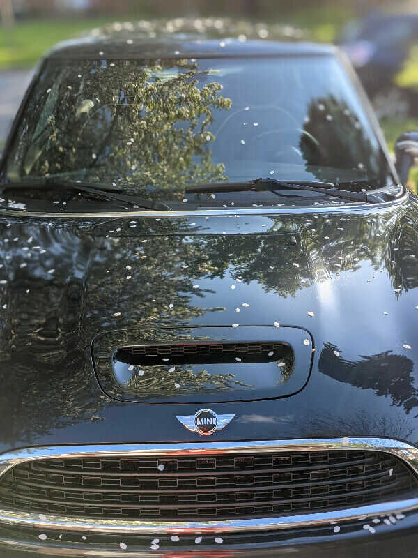 MINI Hardtop