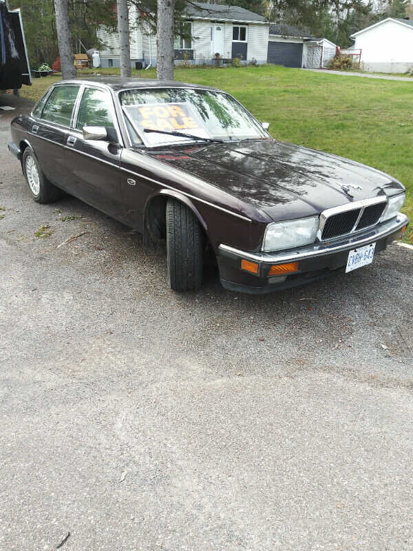 Jaguar XJ12