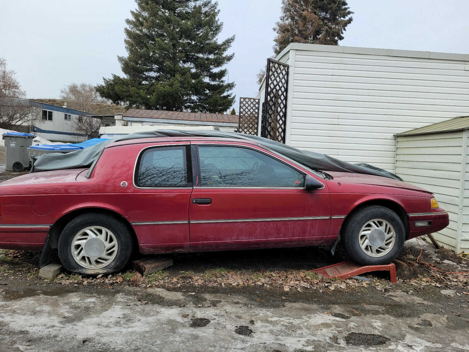 Mercury Cougar