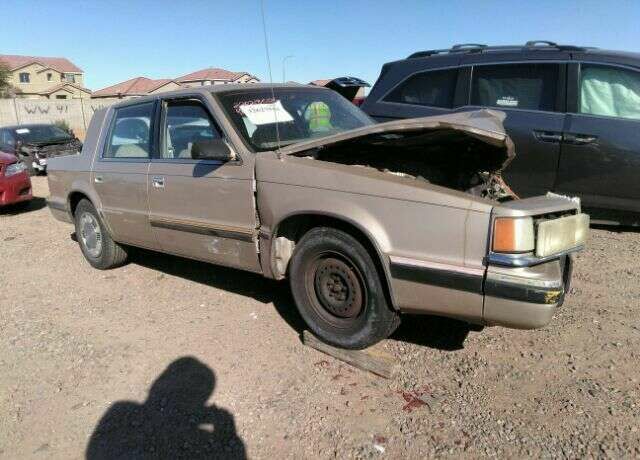 Dodge Dynasty
