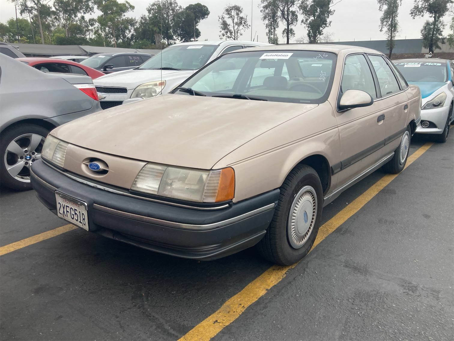 Ford Taurus