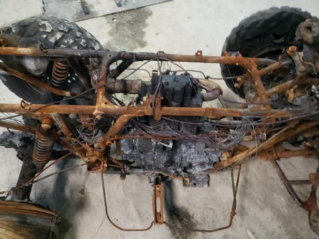 Honda TRX500 (FourTrax)
