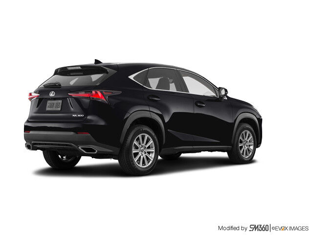 2020 Lexus NX