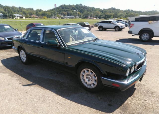 JAGUAR