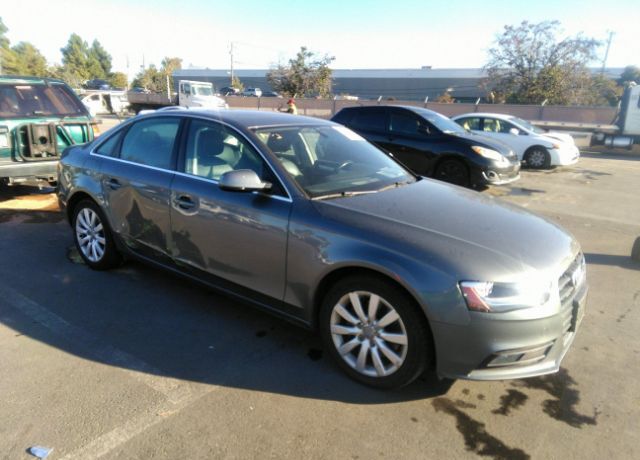 AUDI